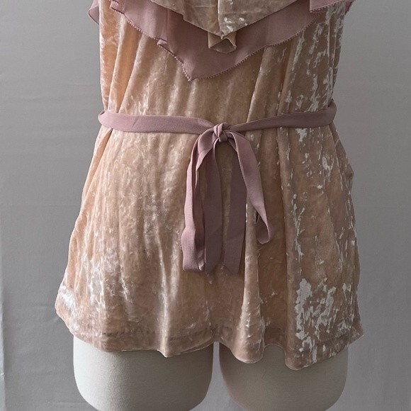 WHBM Pink Velvet Flounce Belted Top Size Medium Style 570216298 Fairycore - Picture 4 of 12